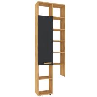 Crown 22 (гостиная) Шкаф МЦН (01) (Дуб золотистый/Графит) Crown 22 (гостиная) Шкаф МЦН (01) (Дуб золотистый/Графит)