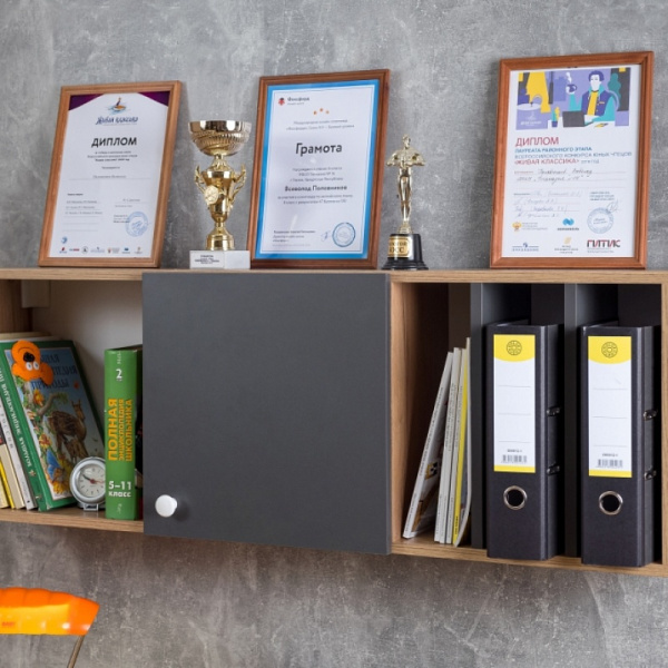 ЛОЙС 88  Шкаф навесной(02 Дуб золотистый/Графит)/Глазов ЛОЙС 88  Шкаф навесной(02 Дуб золотистый/Графит)/Глазов