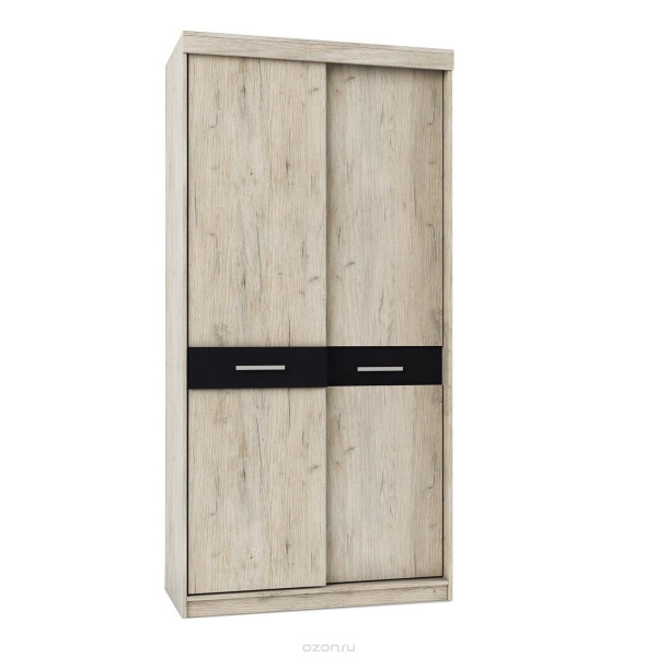 Шкаф-купе  Премьера 2-х дверн. Шкаф-купе  Премьера 2-х дверн.