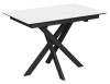 Стол Касабланка-1С PVC  WHITE MARBLE/черный Стол Касабланка-1С PVC  WHITE MARBLE/черный