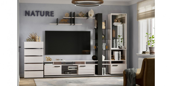 Nature 18(гостиная) Полка навесная (Ясень анкор светлый-Черный) 